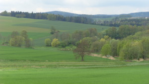 SI851409