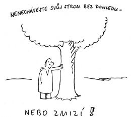 nenechávej svůj strom bez dozoru