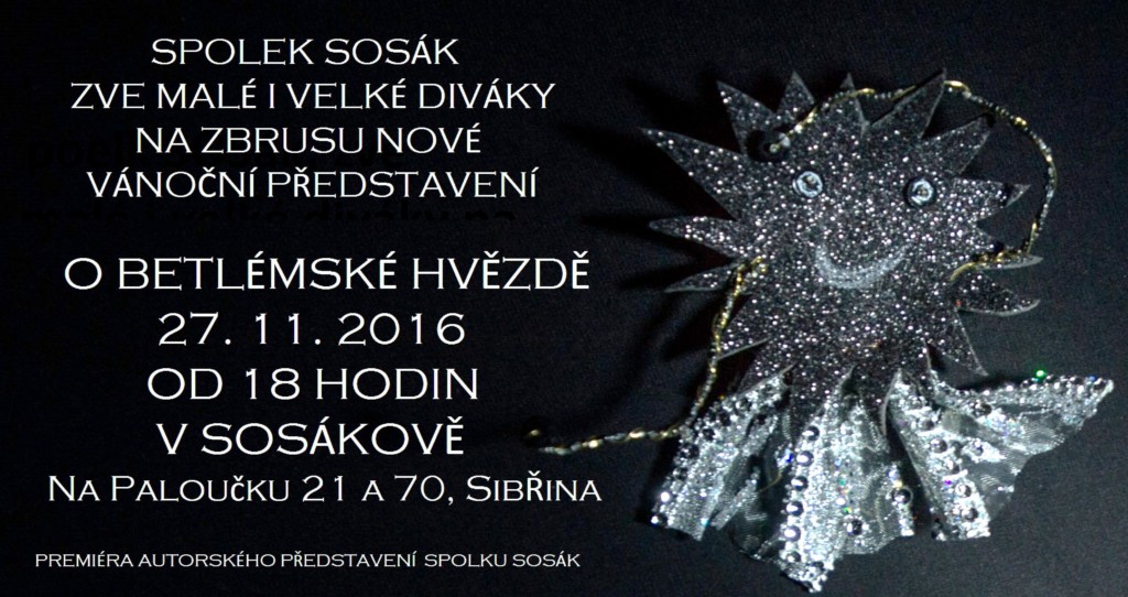 vanocni-hvezda-sosak-sibrina