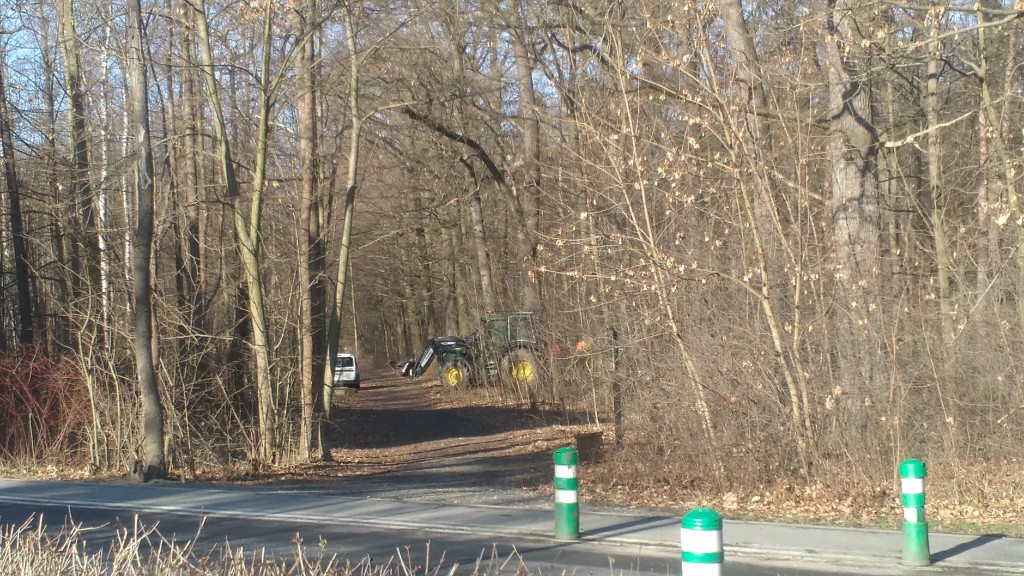 LHP_práce mimrovka_2021-02-01_foto ON