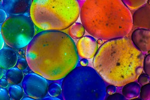 Nadace Via program Živá komunita