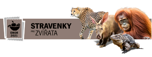 ZOO Praha_stravenky_únor 2021