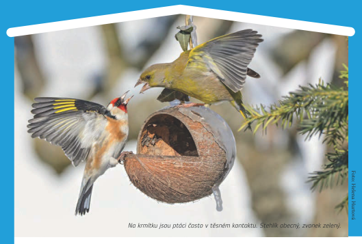 Česká společnost ornitologická