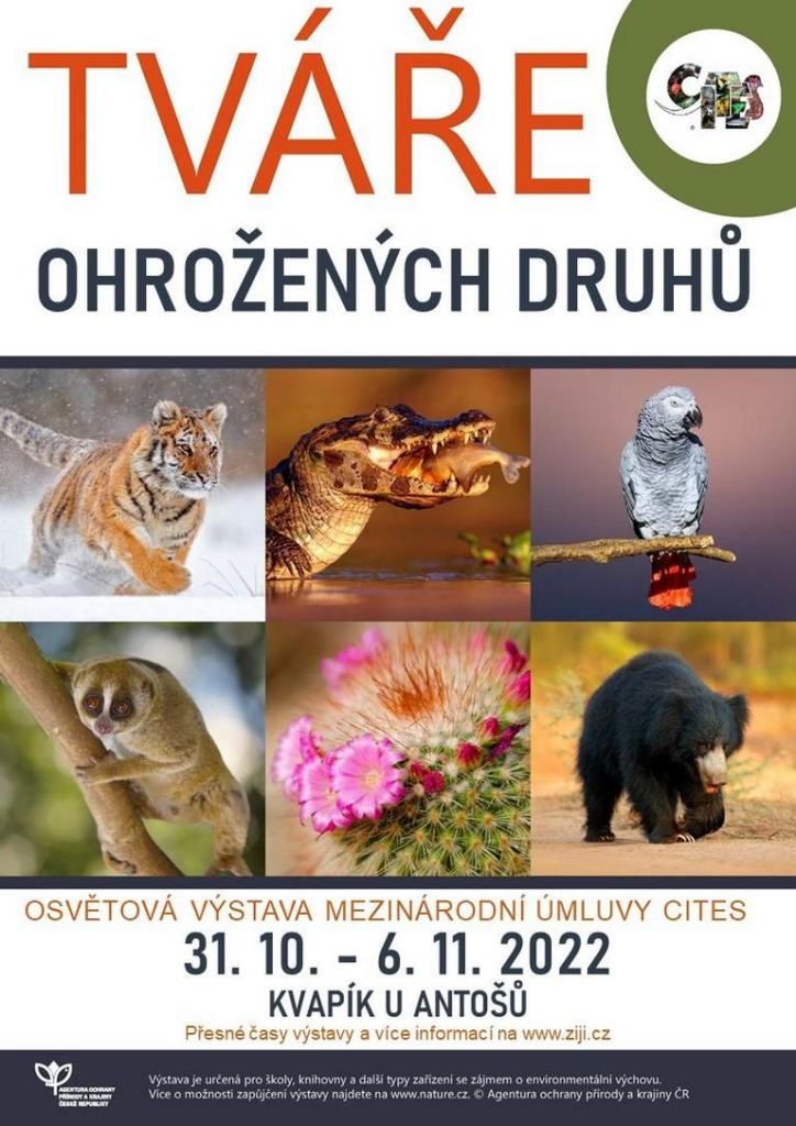 31. 10. - 6. 11. 2022: Tváře ohrožených druhů v Jirnech