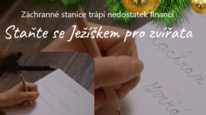 Ježíšek pro zvířata