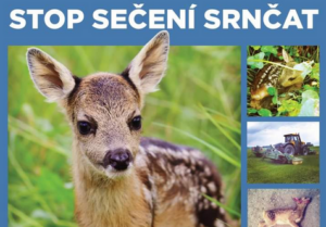 zachránit srnčata