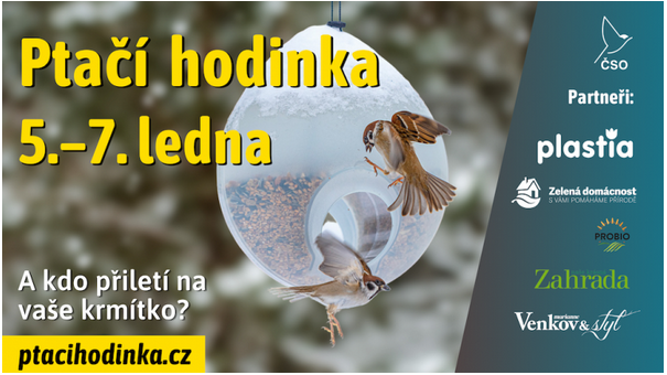 Ptačí hodinka 5. - 7. ledna 2024