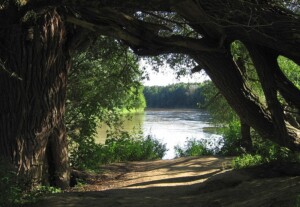 moravská Amazonie -Soutok